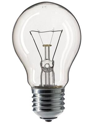 100W Bulb pack 4 pcs